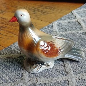 Antique Pigeon